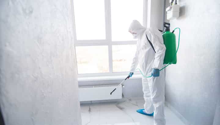 Mold Inspection Services in Weston