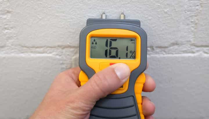 Mold Testing in Weston